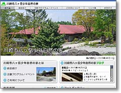 sxNR̉